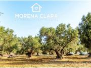 Terreno en Venta en Cabra