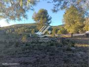 Terreno en venta en Cabra del Camp
