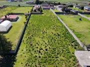 TERRENO EN VENTA EN CACALOMACAN