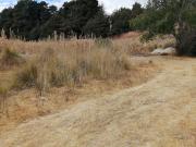 Terreno en venta en Cacalomacán, Cancún, Estado De México