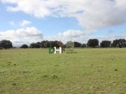 Terreno en Venta en Cáceres