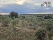 Terreno en Venta en Cáceres