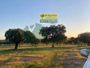 Terreno en Venta en Cáceres