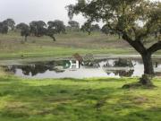 Terreno en Venta en Cáceres