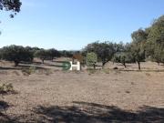Terreno en Venta en Cáceres
