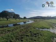 Terreno en Venta en Cáceres