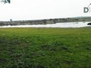 Terreno en Venta en Cáceres