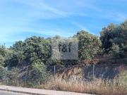 Terreno en Venta en Cáceres