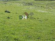 Terreno en Venta en Cáceres