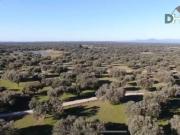 Terreno en Venta en Cáceres