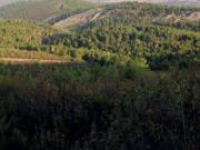 Terreno en Venta en Cáceres