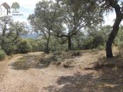 Terreno en Venta en Cáceres