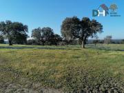 Terreno en Venta en Cáceres