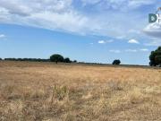 Terreno en Venta en Cáceres