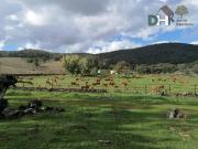 Terreno en Venta en Cáceres