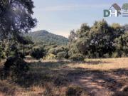 Terreno en Venta en Cáceres