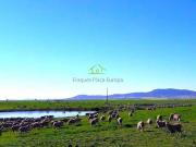 Terreno en Venta en Cáceres