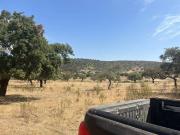 Terreno en Venta en Cáceres