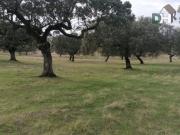 Terreno en Venta en Cáceres