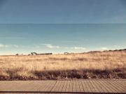 Terreno en venta en Cáceres, Vista hermosa