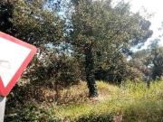 Terreno en venta en Caldes De Malavella