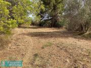 Terreno en venta en Calella, de 549 m² por 79.900