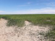 Terreno en Venta en Calera y Chozas