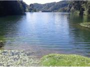 Terreno en venta en Calicanto, Mineral del Monte, Hidalgo