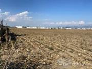 TERRENO EN VENTA EN CALIMAYA