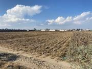 TERRENO EN VENTA EN CALIMAYA