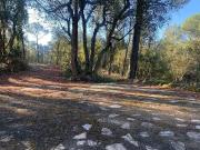 Terreno en venta en calle Afores, Forallac, de 24.682 m²...