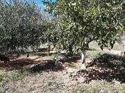 Terreno en venta en calle Avets, Sant Llorenç Savall, de...