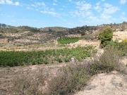 Terreno en venta en calle Barbulla, Riba Roja d´Ebre, de...