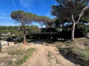 Solar en venta en calle Camèlies, Roca del Vallès, la,...