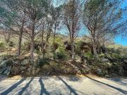 Terreno en venta en calle Cant Dels Ocells, Roses, de...