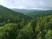 Terreno en venta en calle Ciclo, Sant Cugat del Vallès,...