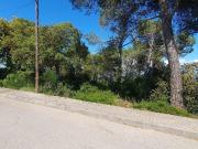 Terreno en venta en calle De Domenec Roure Babra, Torre...