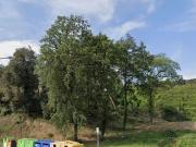Terreno en venta en calle De la Selva, Santa Maria de...