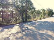 Terreno en venta en calle De Ulises, Maçanet de la...