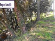 Terreno en venta en calle Del Canigó, Ametlla del...