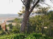 Terreno en venta en calle Del Gaià, Bisbal del Penedès,...