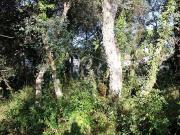 Terreno en venta en calle Del Montseny, Santa Cristina...