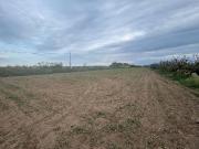 Terreno en venta en calle Dels Llanossos, Viladecans, de...