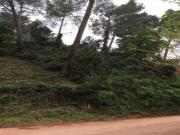 Terreno en venta en calle Emili Vendrell, Cervelló, de...