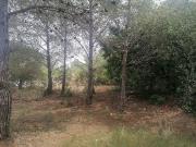 Terreno en venta en calle Felip Pedrell, Vendrell, El,...