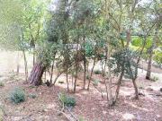 Terreno en venta en calle Font Martina, Caldes de...