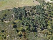 Terreno en venta en calle Giv, Garriguella, de 15.542 m²...