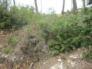 Terreno en venta en calle Joan Miró, Torre de Claramunt,...