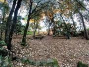 Terreno en venta en calle Lluis Millet, Cànoves i...