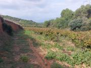 Terreno en venta en calle Major, Albinyana, de 21.279 m²...